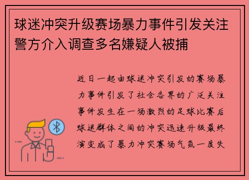 球迷冲突升级赛场暴力事件引发关注警方介入调查多名嫌疑人被捕