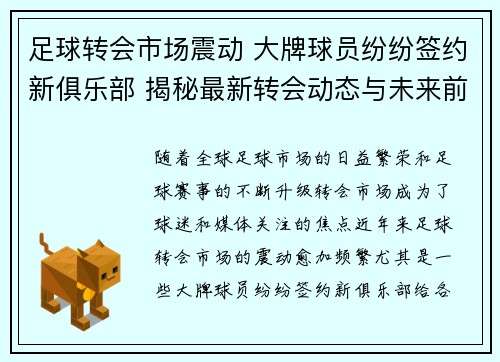 足球转会市场震动 大牌球员纷纷签约新俱乐部 揭秘最新转会动态与未来前景
